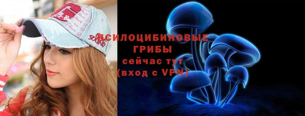 гашик Новодвинск