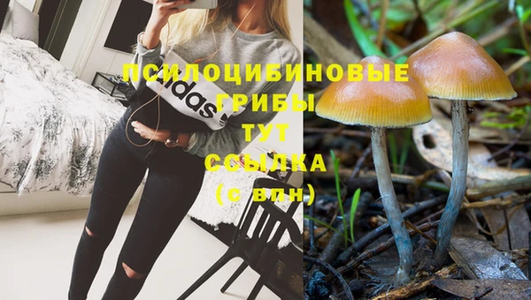 первитин Новокубанск