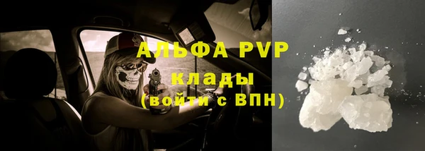 гашик Новодвинск