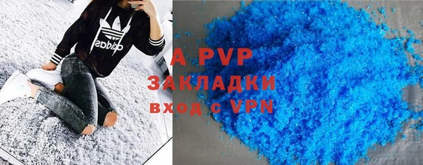 гашик Новодвинск