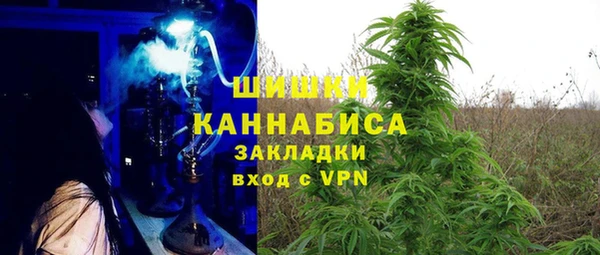 гашик Новодвинск
