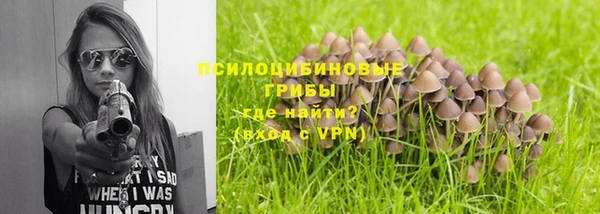 каннабис Новозыбков