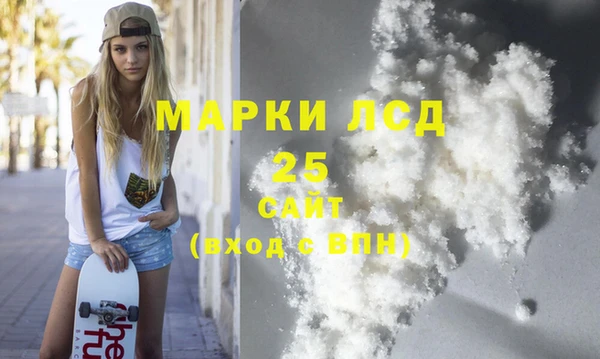 гашик Новодвинск