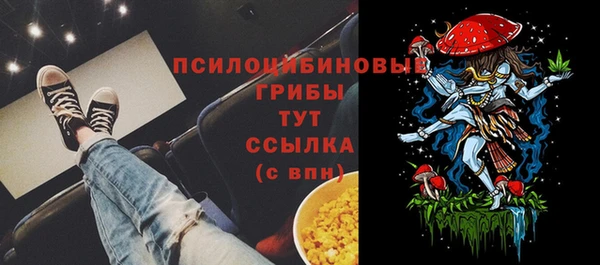 каннабис Новозыбков